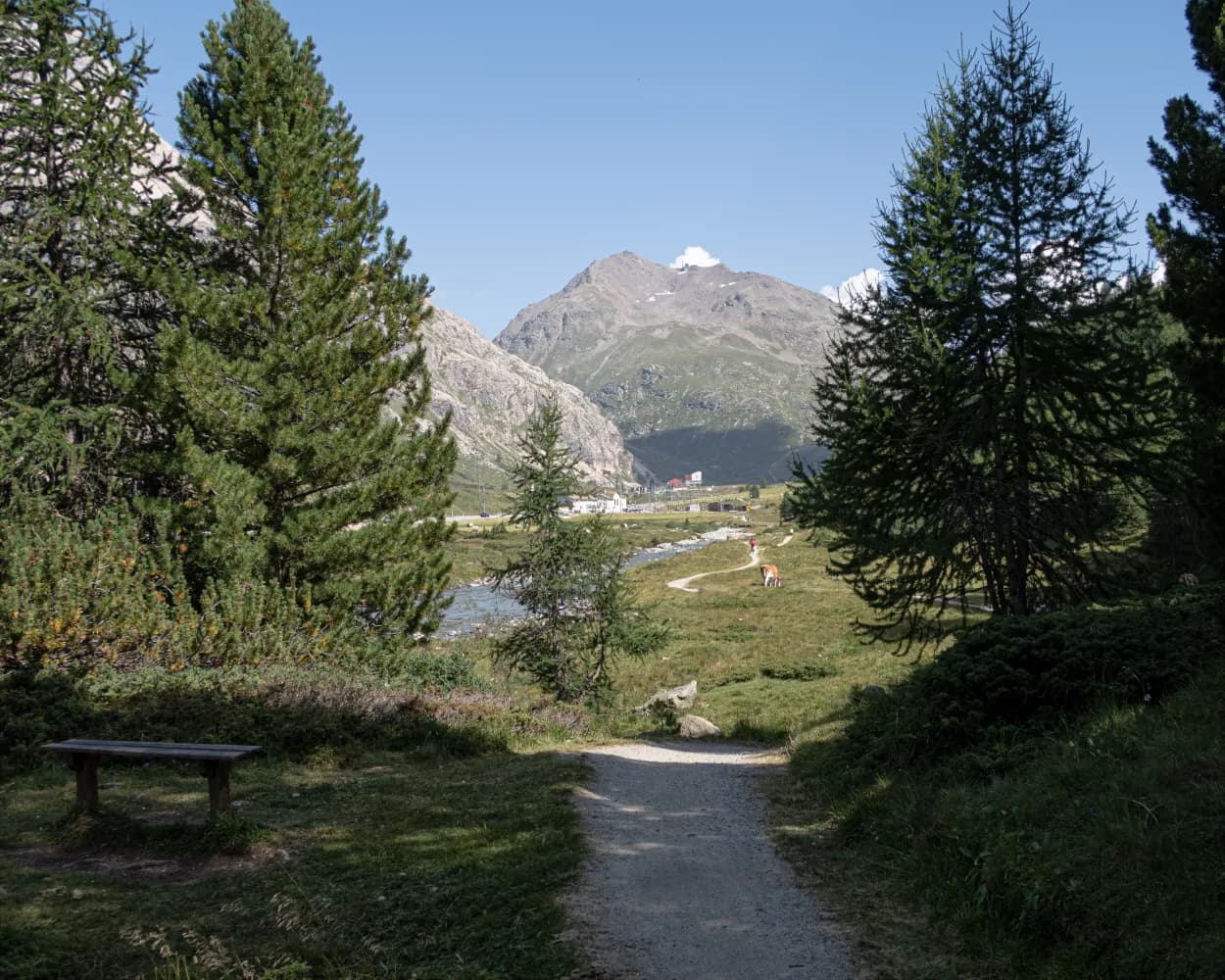 ViaValtellina, Stage 5/8