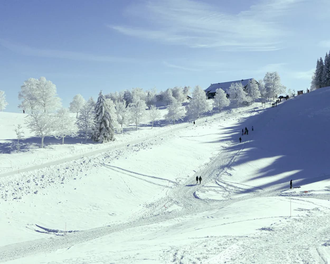 Chemin La Vue des Alpes–Tête de Ran