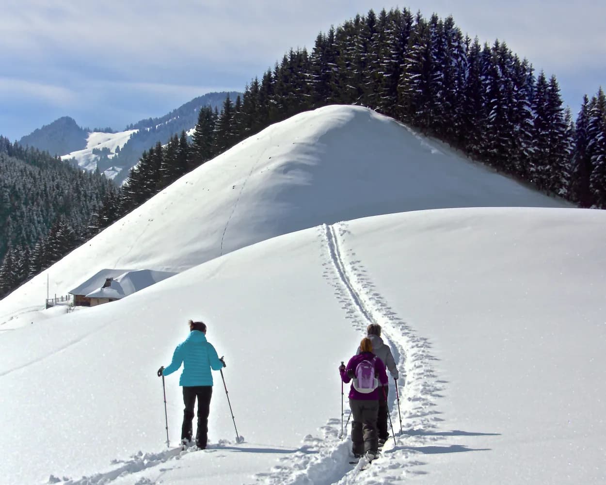 Sellamatt–Zinggen Trail