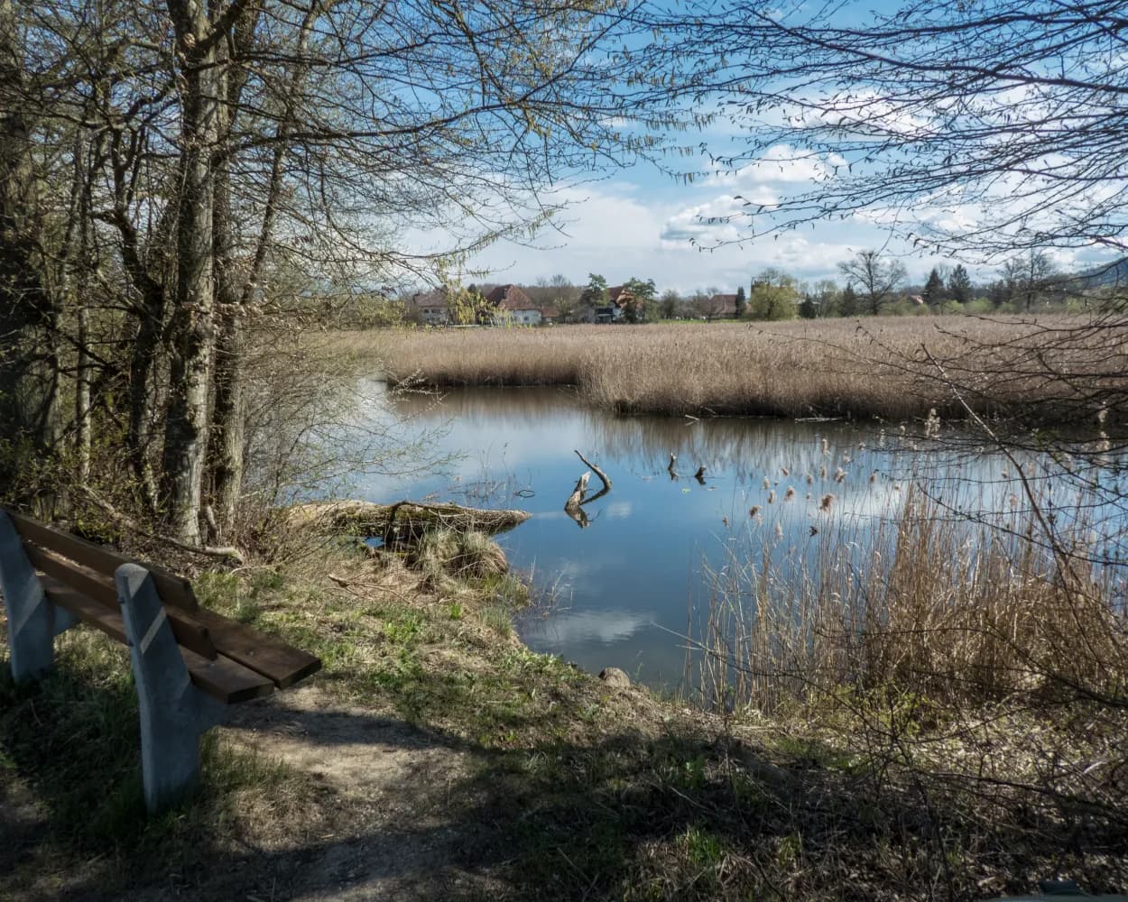 Seeland-Solothurn-Weg, Étape 2/4