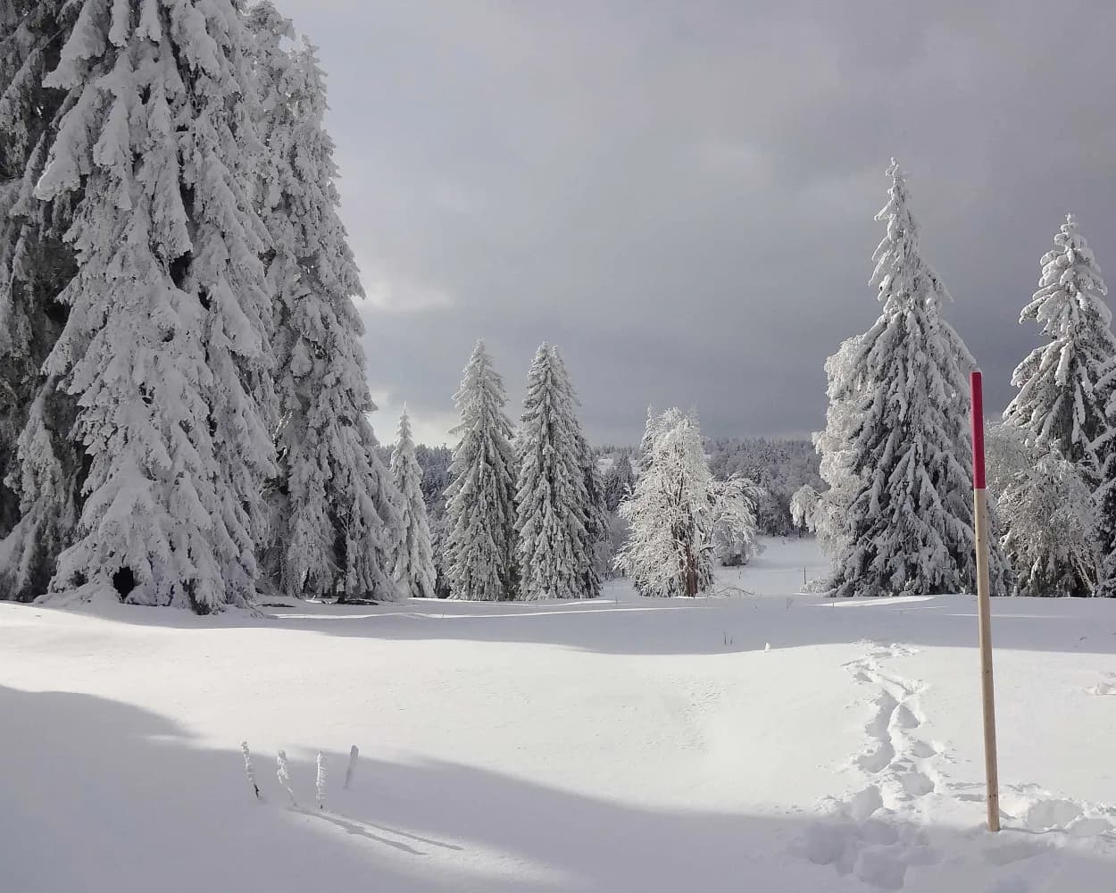 Parcours de Bellelay