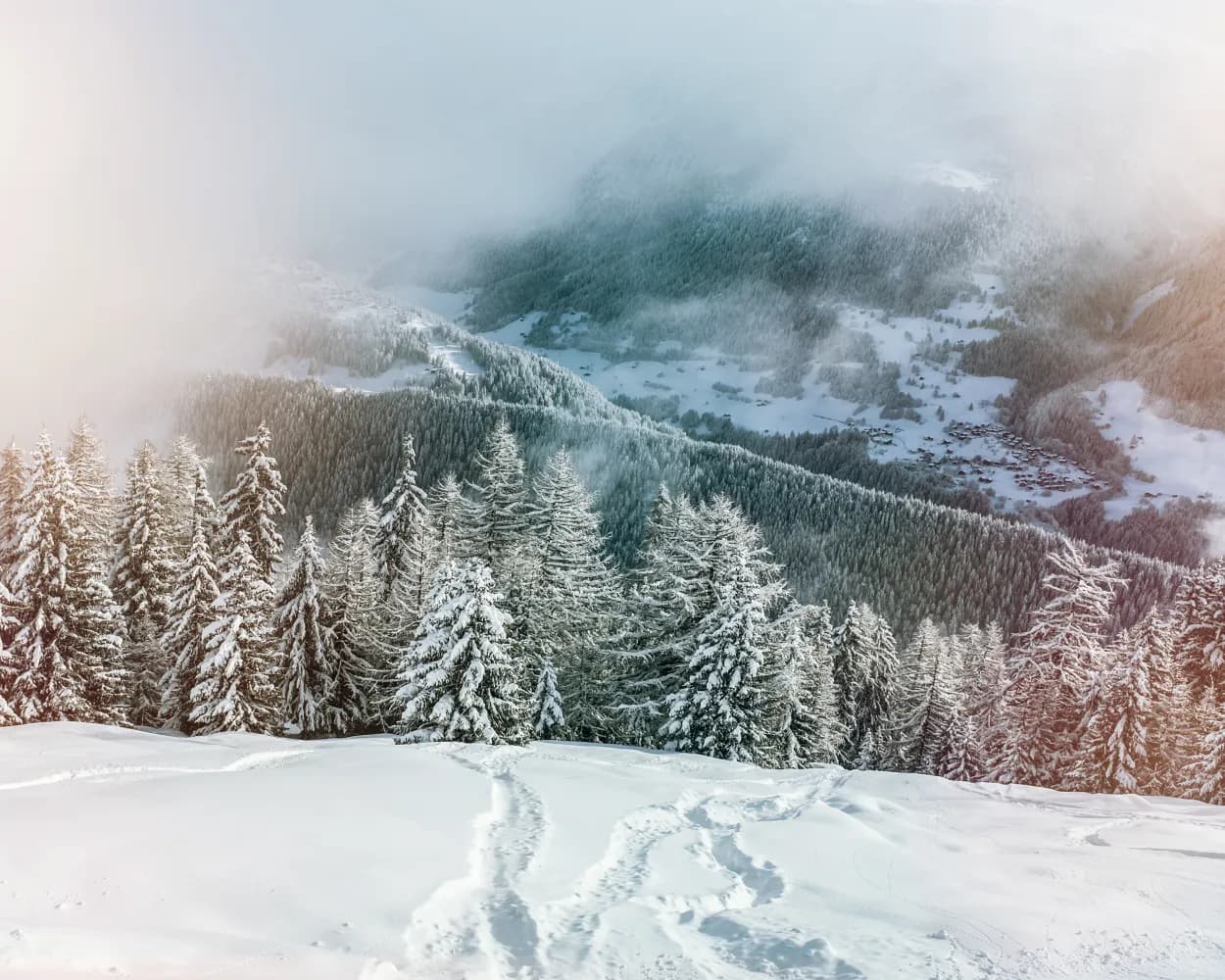 Schneeschuhtrail Fiesch–Fiescheralp