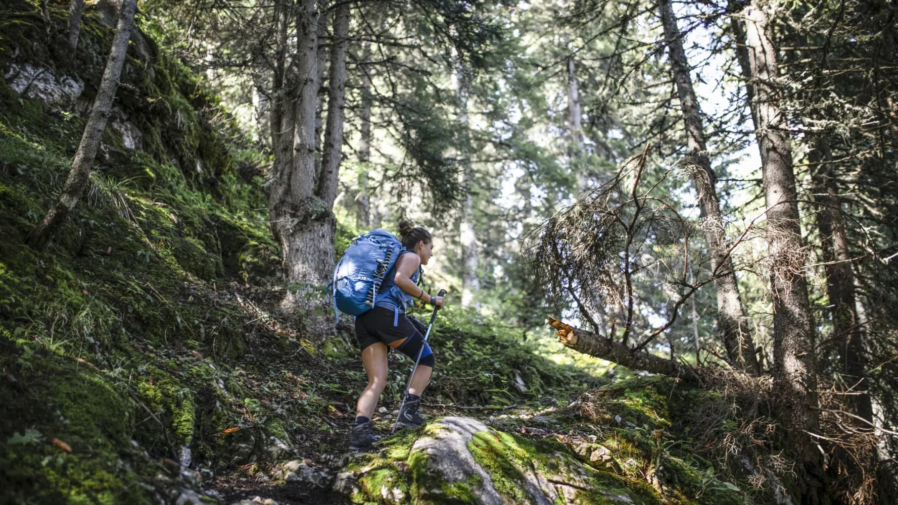 Via Alpina, Stage 17/20