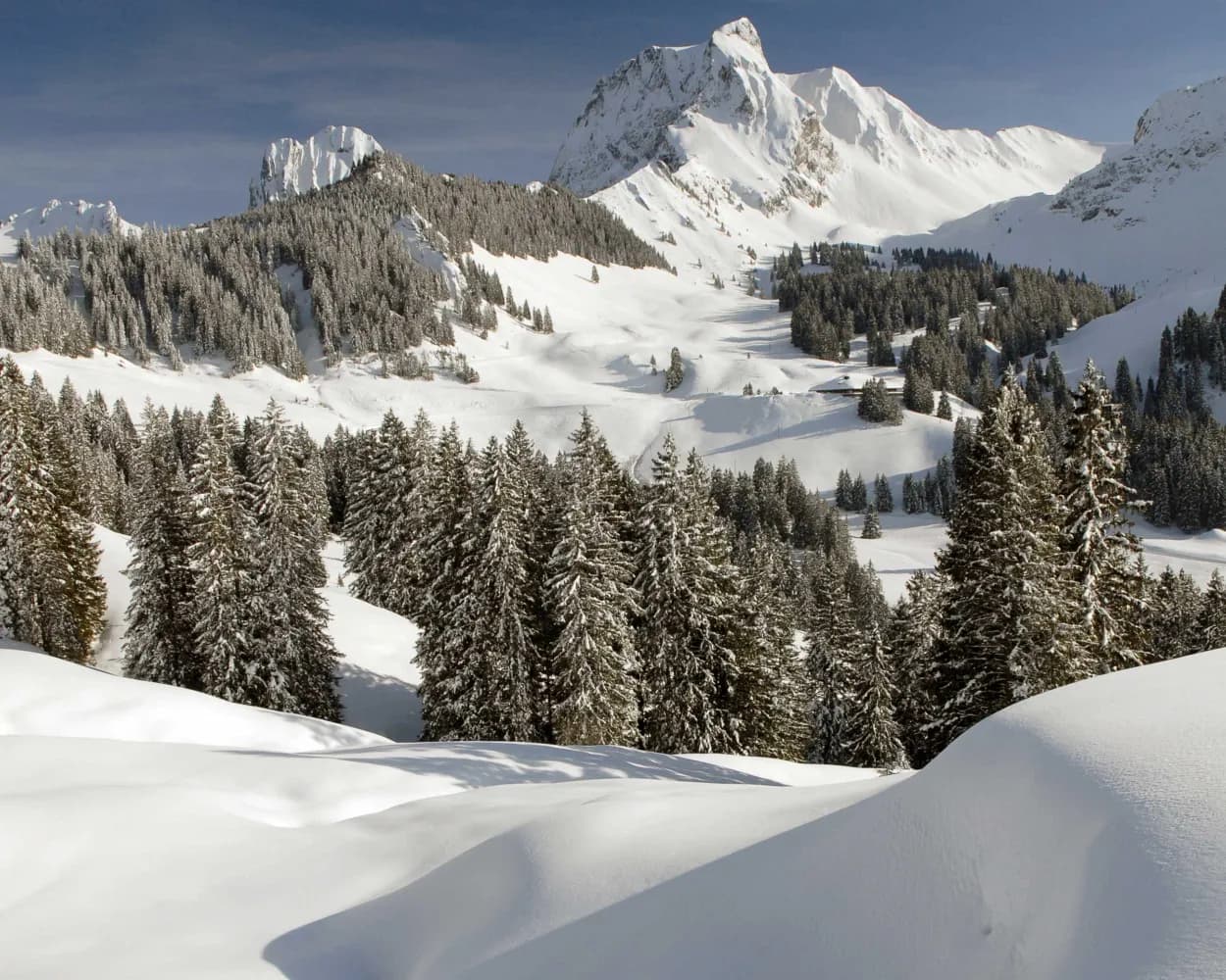 Selibühl-Panoramatrail