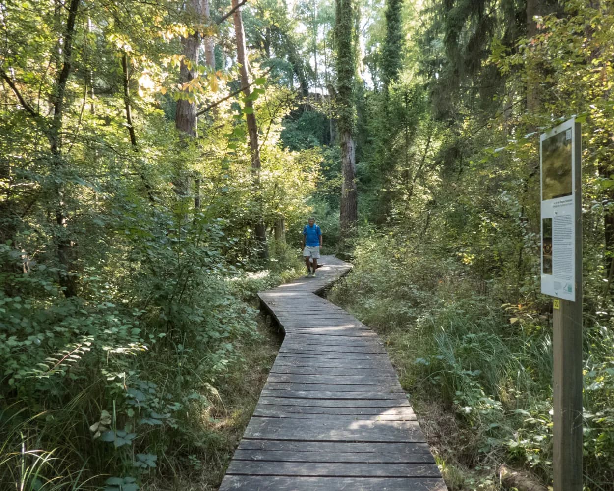 Chemin des Trois-Lacs, Stage 2/3