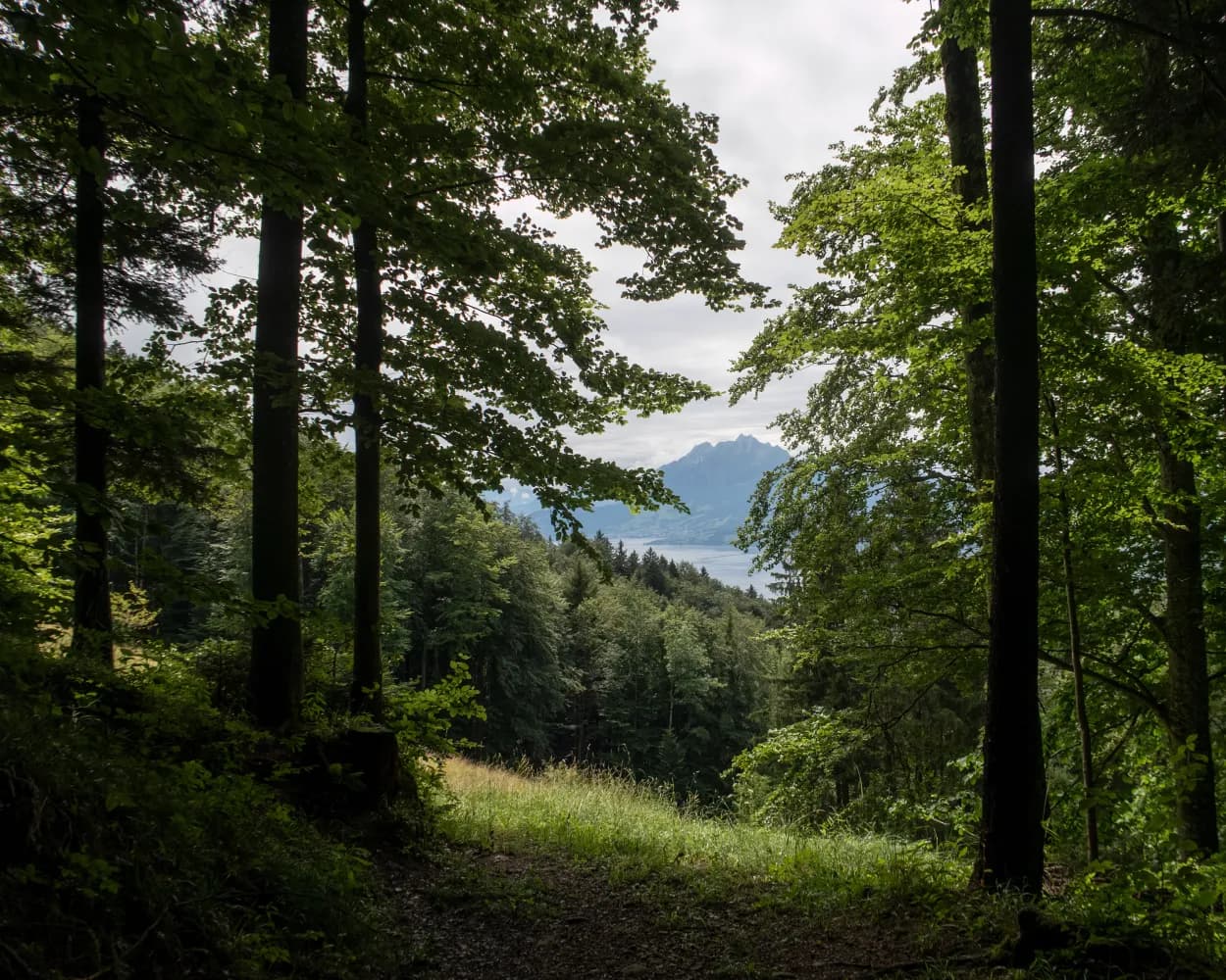 Schwyzer Höhenweg, Stage 1/5