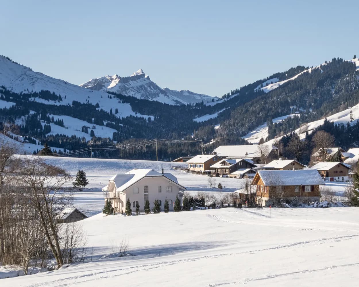 Finsterwald-Wissenegg-Winterwanderweg