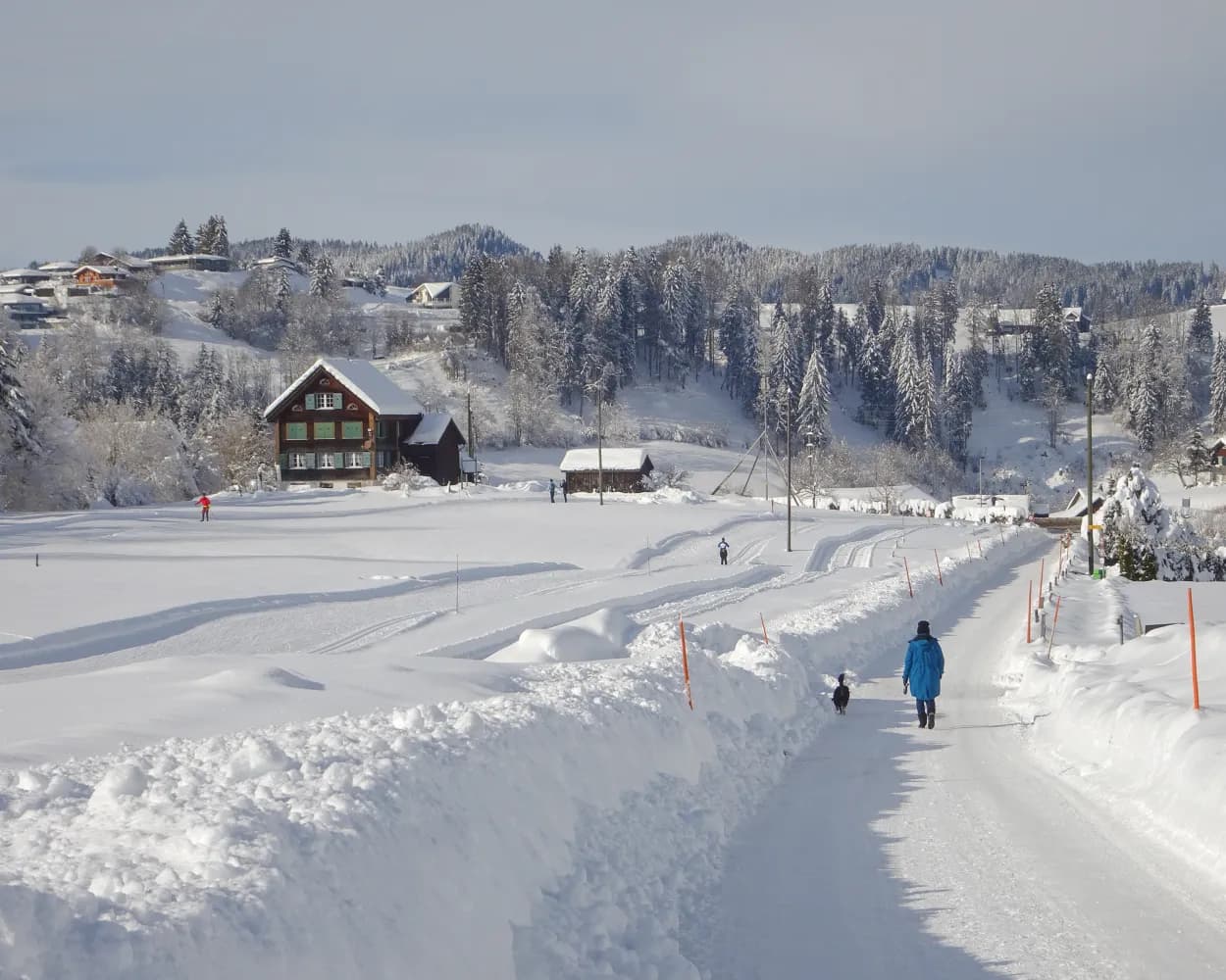 Winterwanderungen von Zürich aus mit öffentlichen Verkehrsmitteln