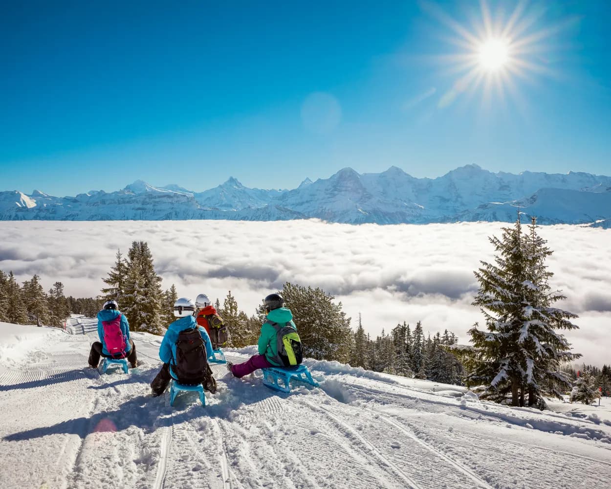 Niederhorn-Schlittelweg