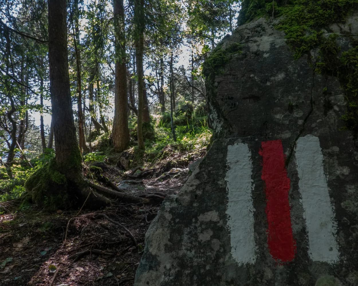 Bärgmandlipfad Giswil