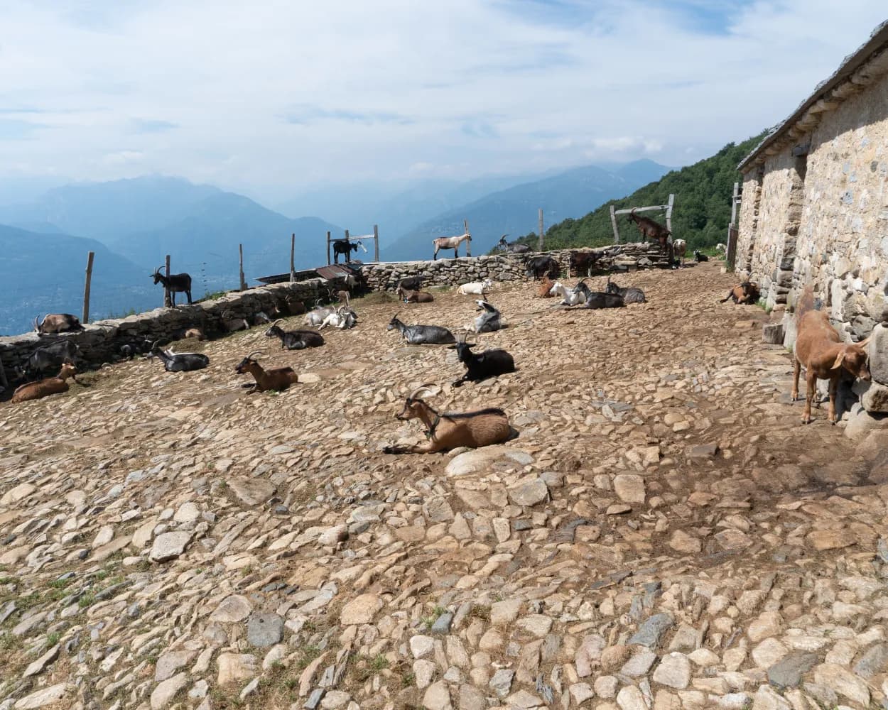 Sentiero del Monte Gambarogno
