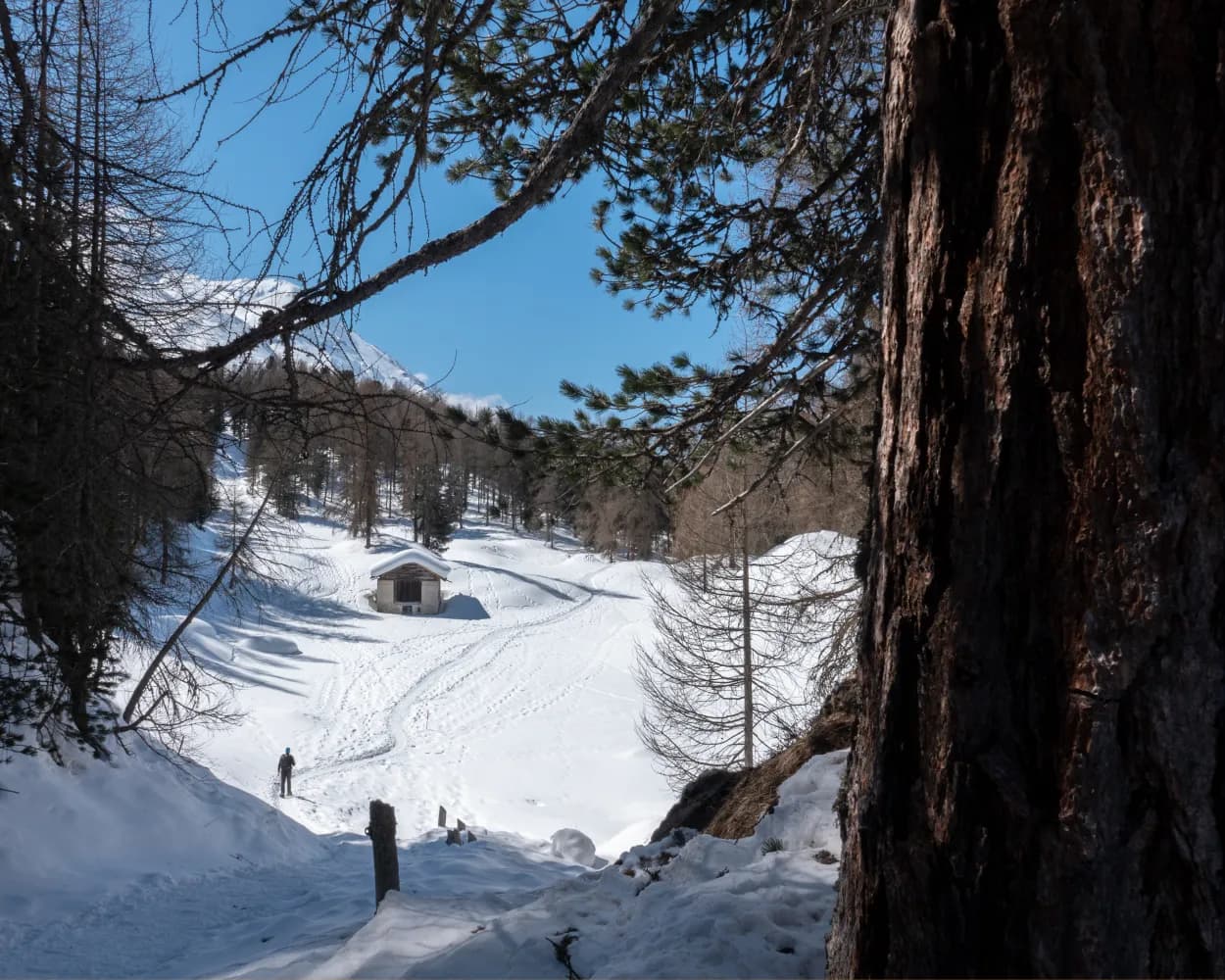 Muotta da Güvè Trail