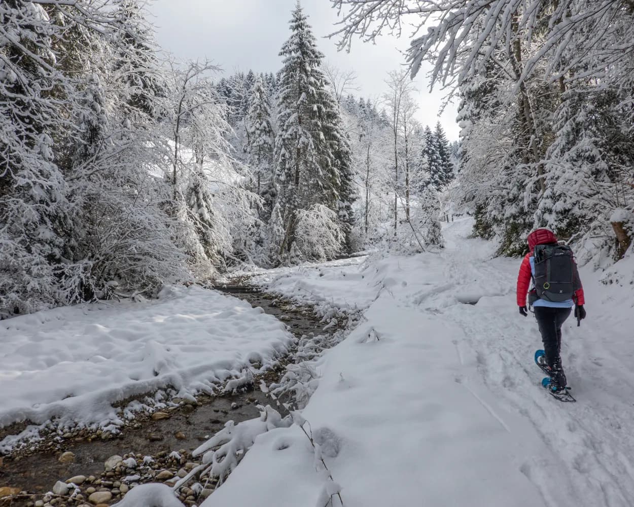 Schneeschuhtrail Hinter Ey–Luthern Bad