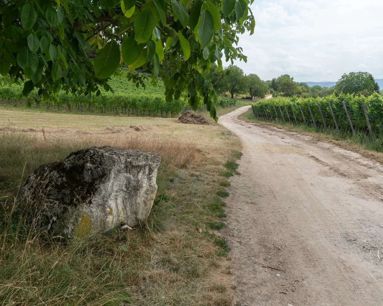 Dreiland-Wanderweg, Stage 2/3