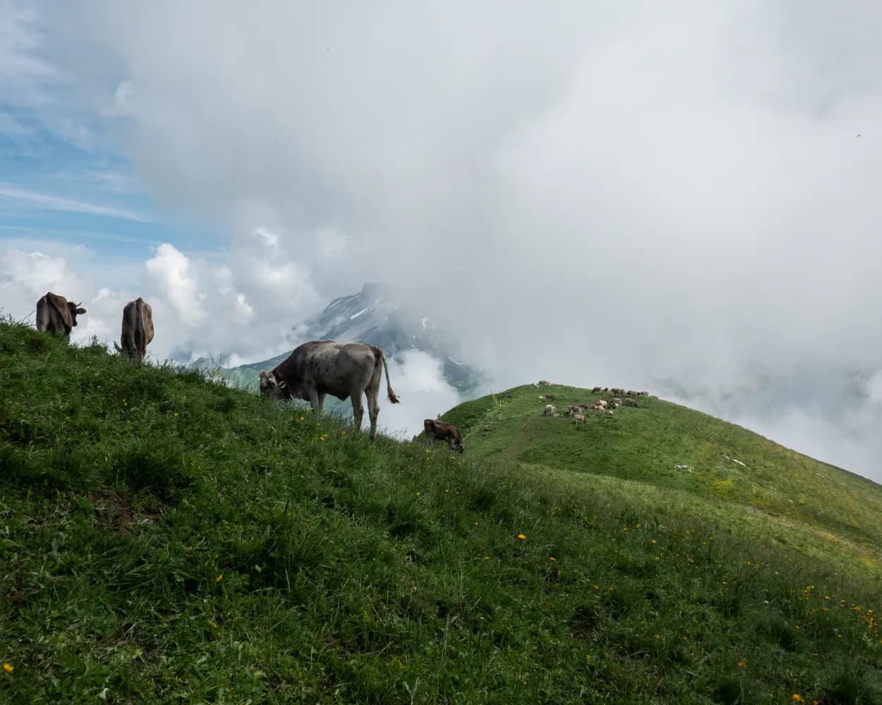 Nidwaldner Zentrumsweg