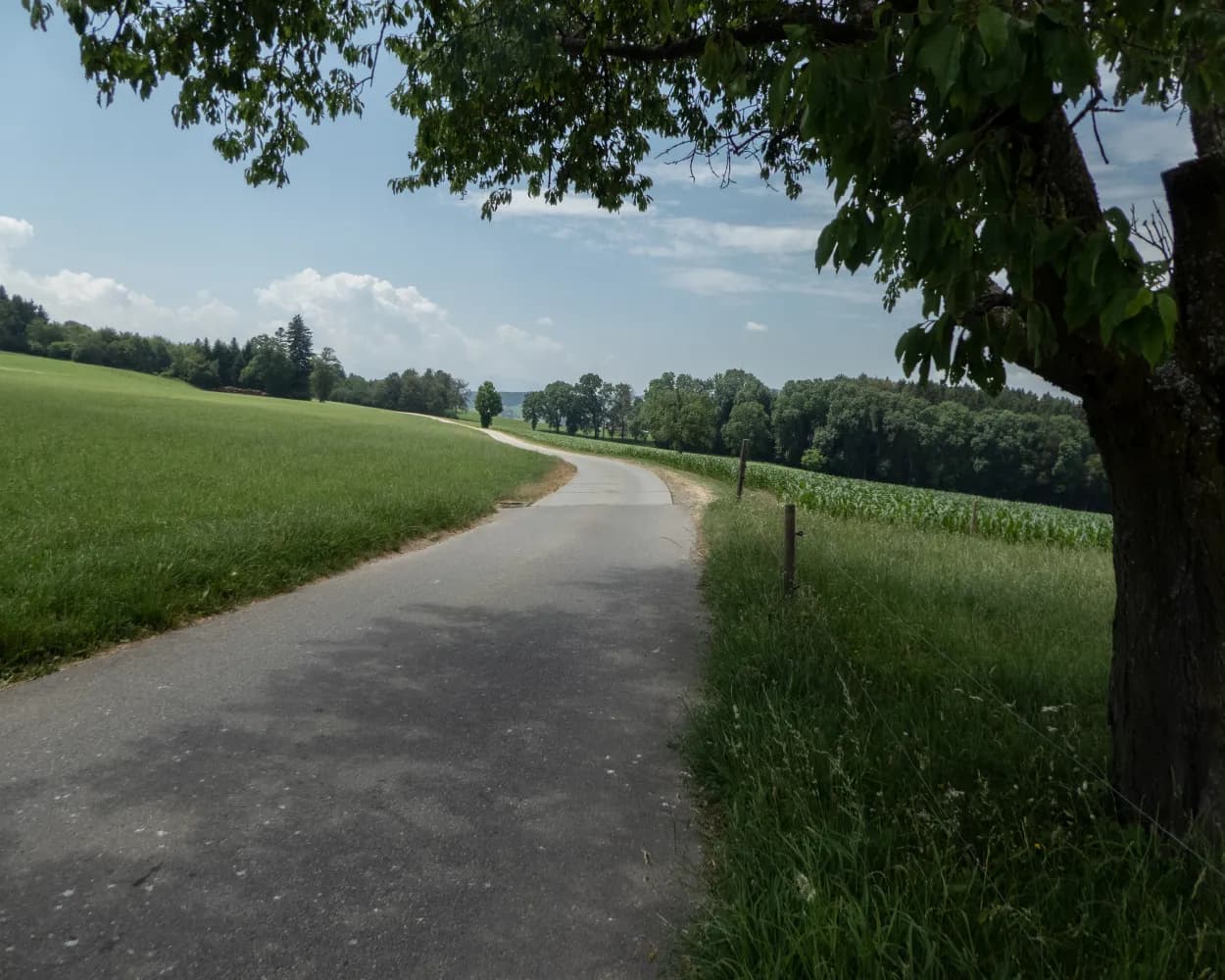 La Broye–La Gruyère