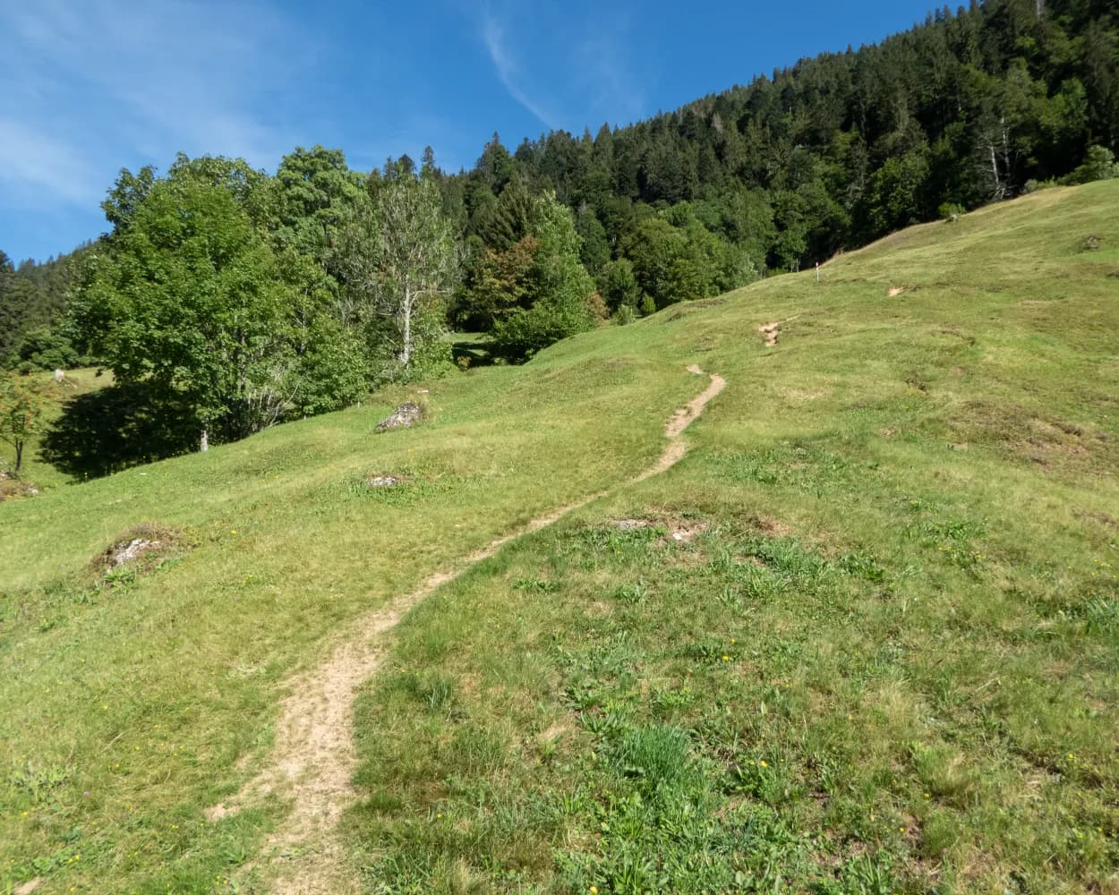 Hirzli-Rundweg