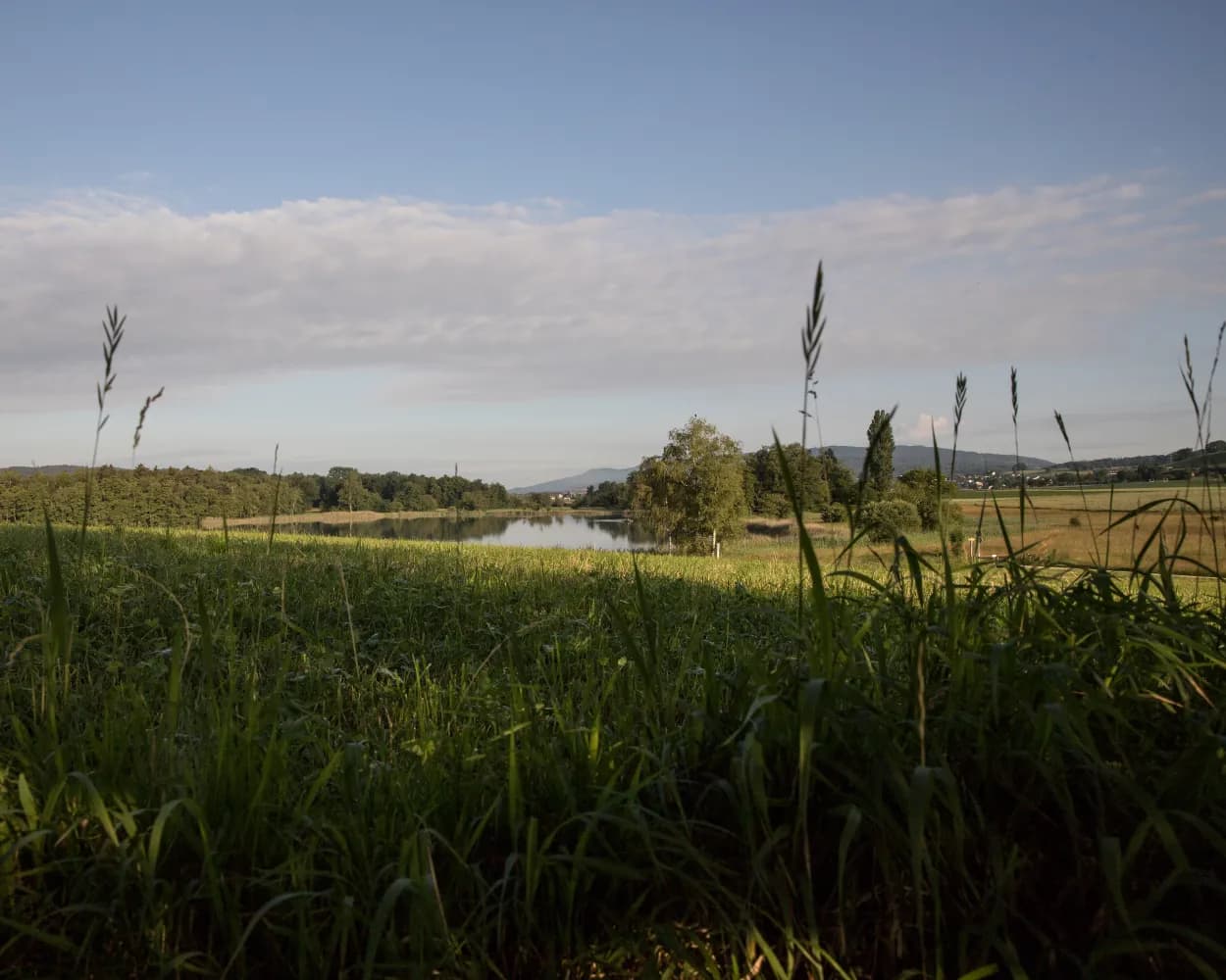 Rhein–Hirzel–Linth, Etappe 1/3