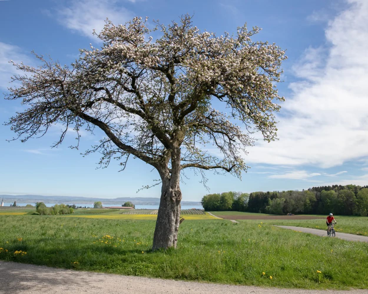 Seerücken-Route