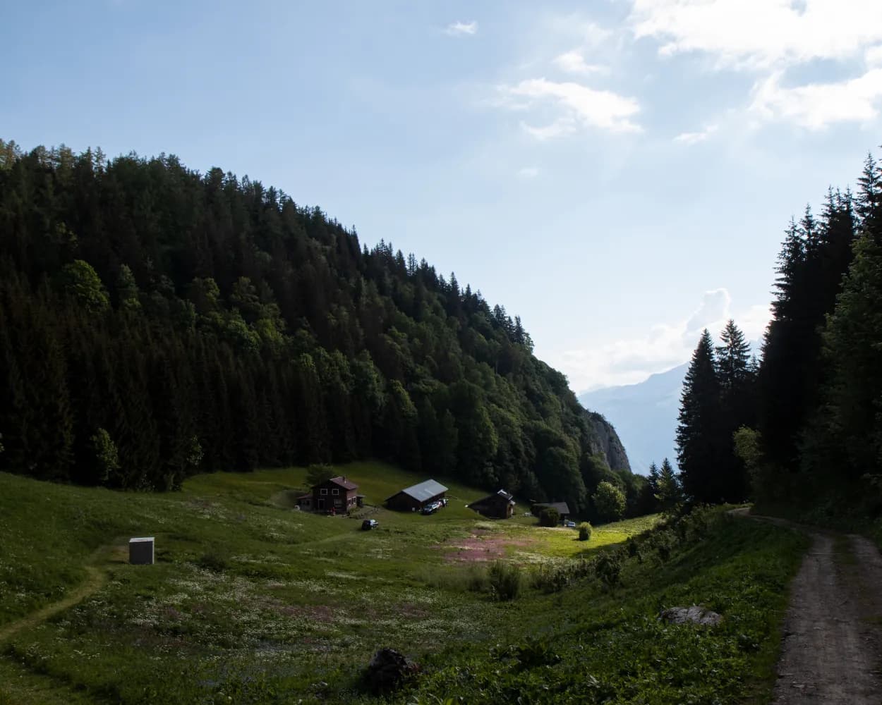Chemin du Lac de Taney