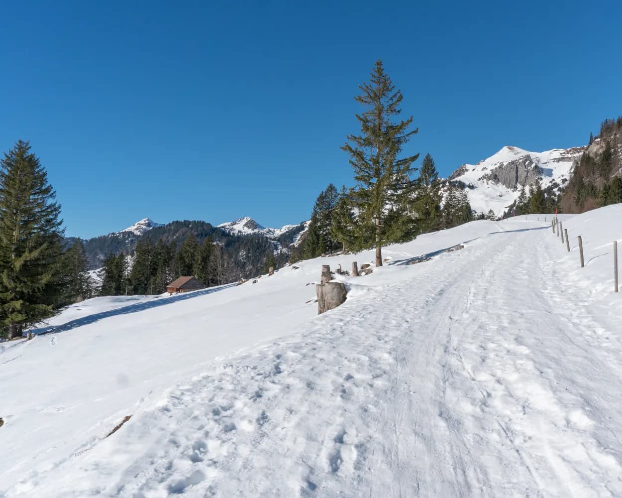 Wildhaus-Gamplüt-Weg