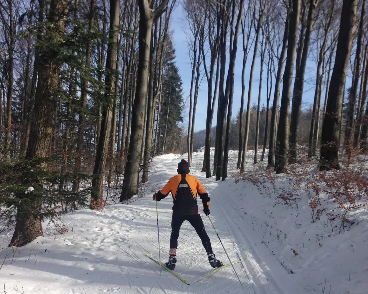 Loipe Gisliflueh–Staffelegg