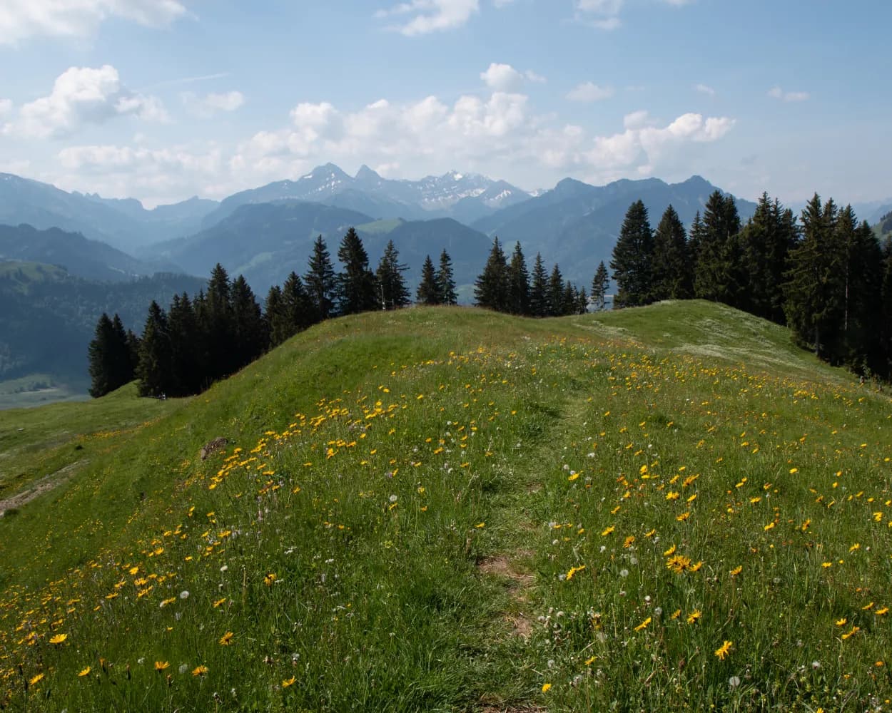 La Berra par la Valsainte