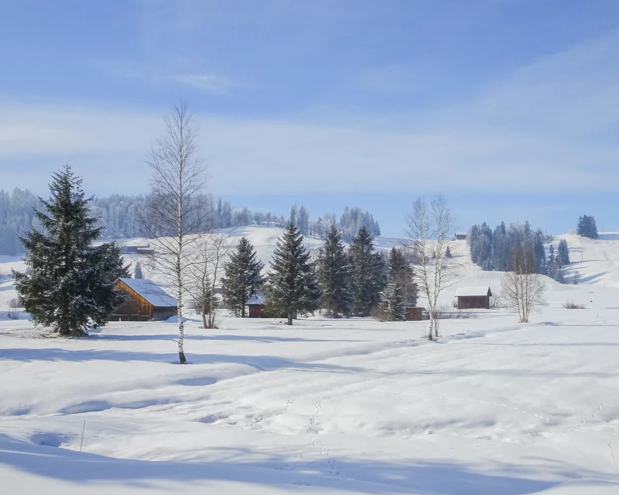 Rothenthurm-Winterwanderweg