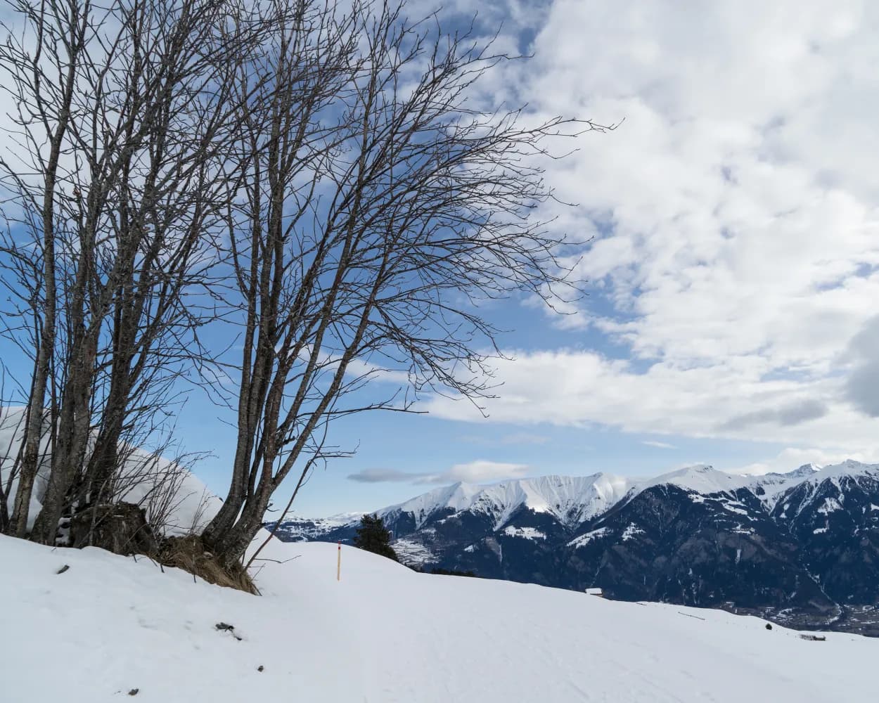 Tschappina-Winterwanderweg