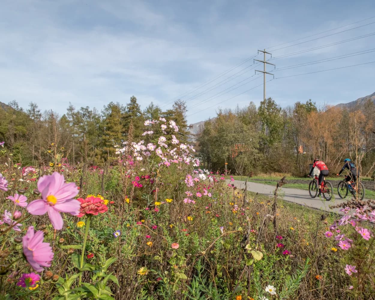 Churer Rheinroute