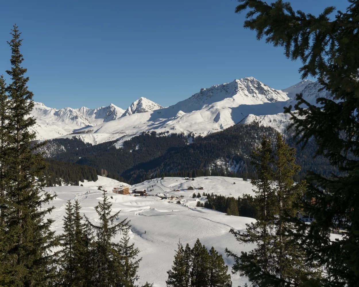 Arlenwald-Winterwanderweg