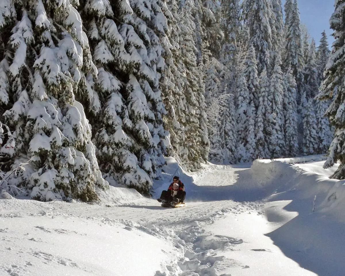 Sledging runs from Geneva by public transport