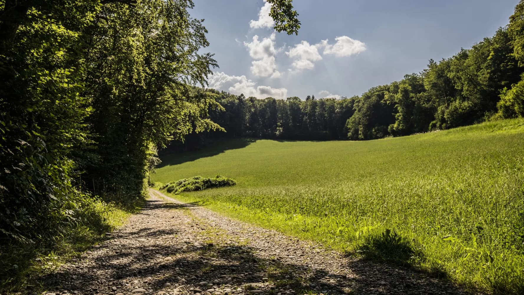 Jura Crest Trail, Stage 2/16
