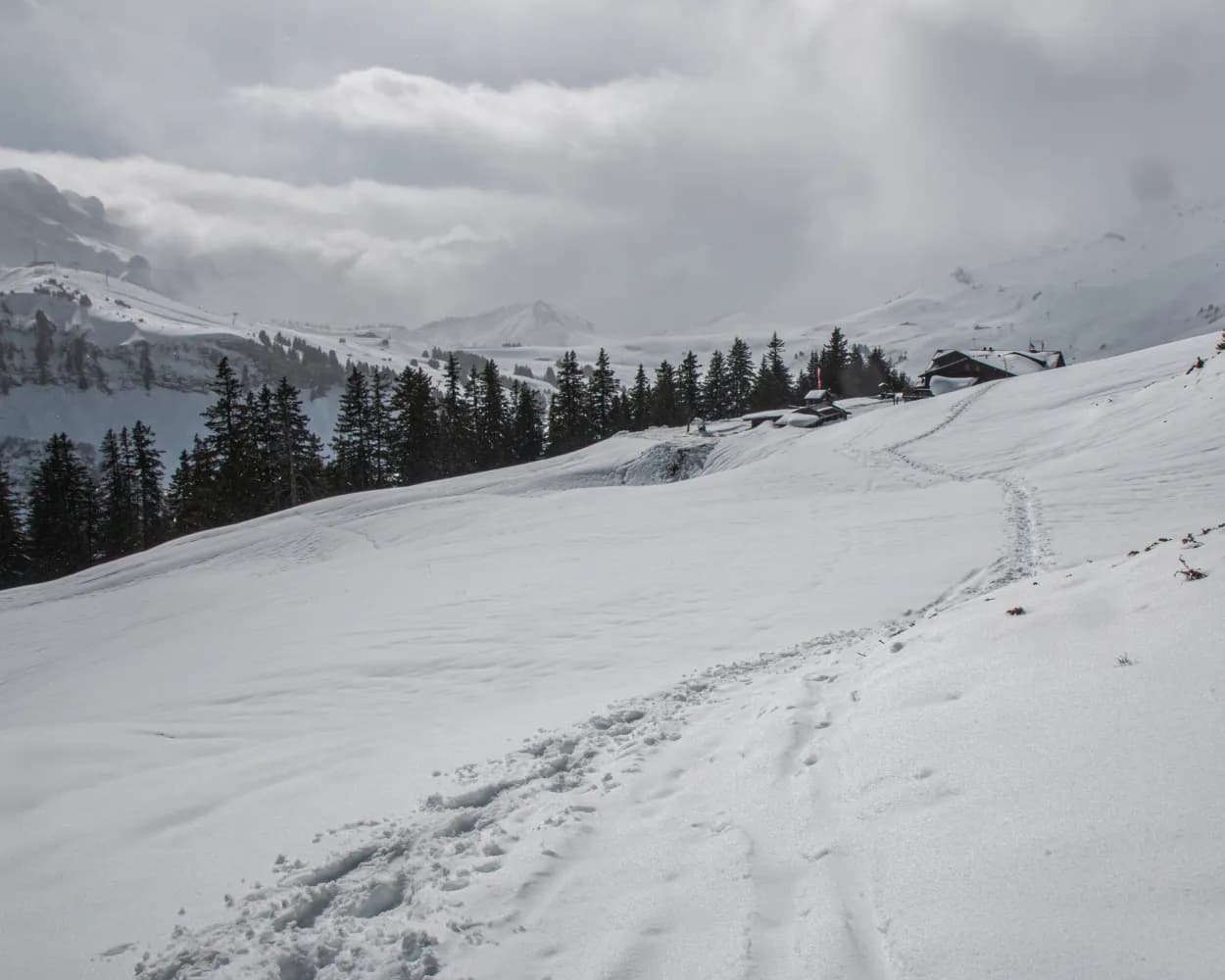 Chemin de l'Aiguille