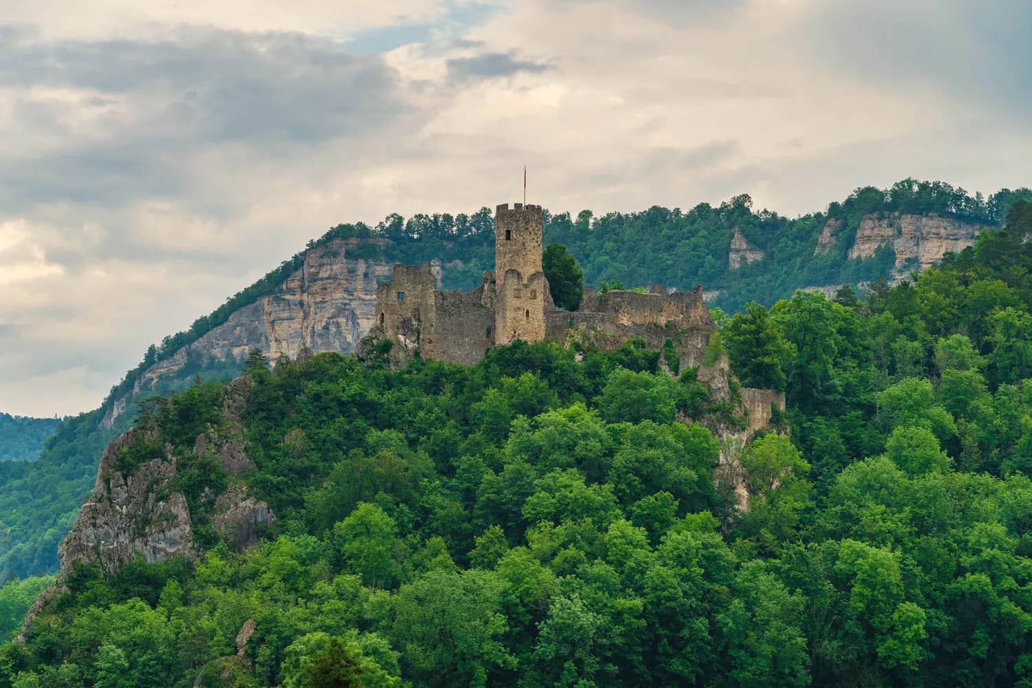 Ruine Schloss Neu-Falkenstein