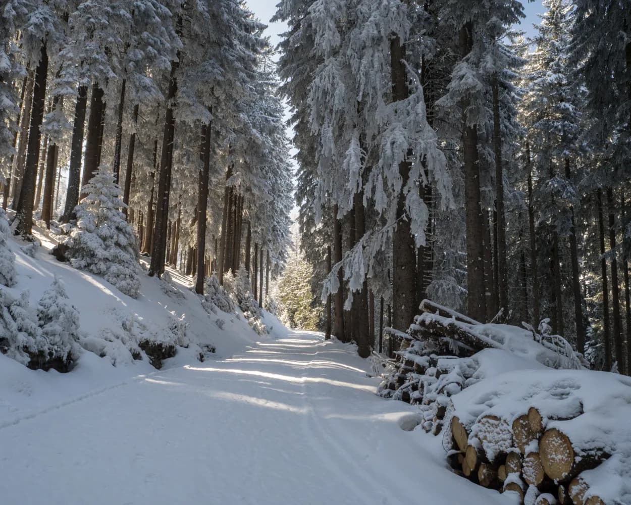 Oberdorf-Gamperfin-Weg