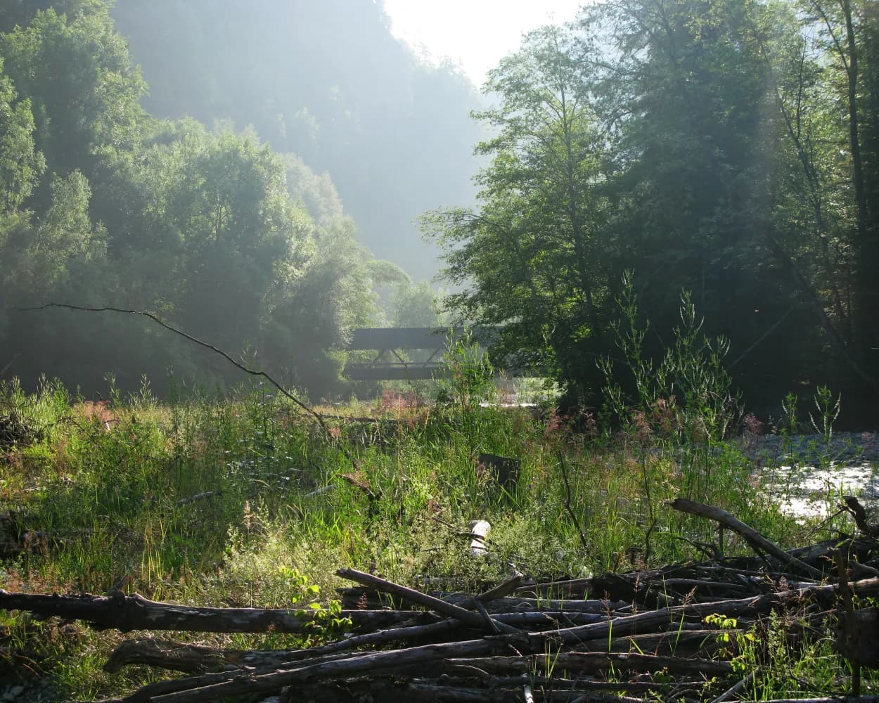 Schwarzwasser-Sense-Schluchtenweg