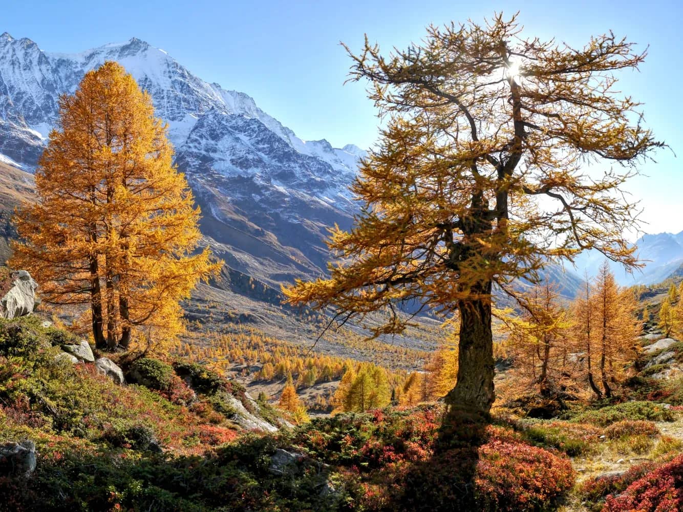 Fafleralp-Rundweg