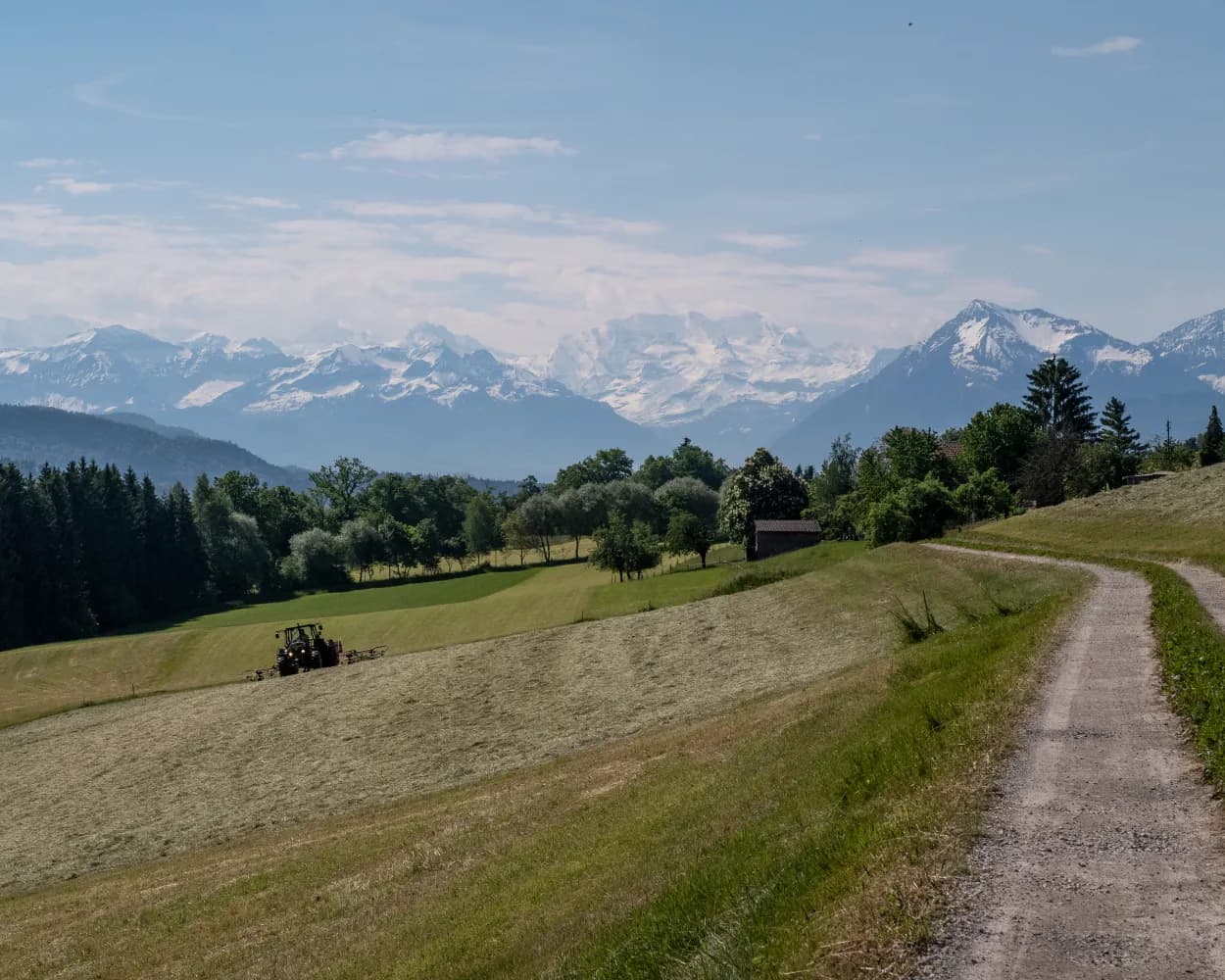 ViaBerna, Stage 10/20