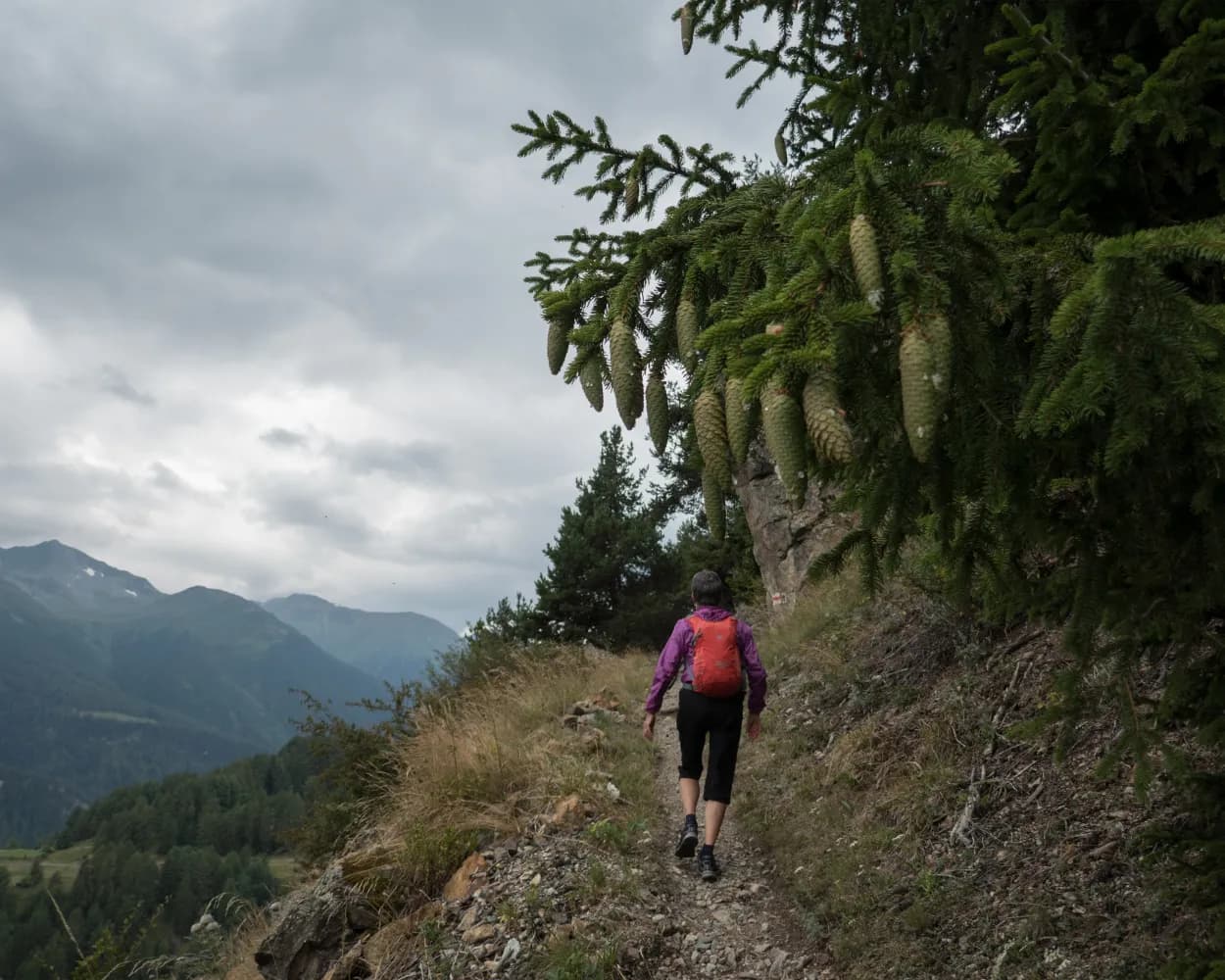 Jakobsweg Graubünden, Stage 5/18