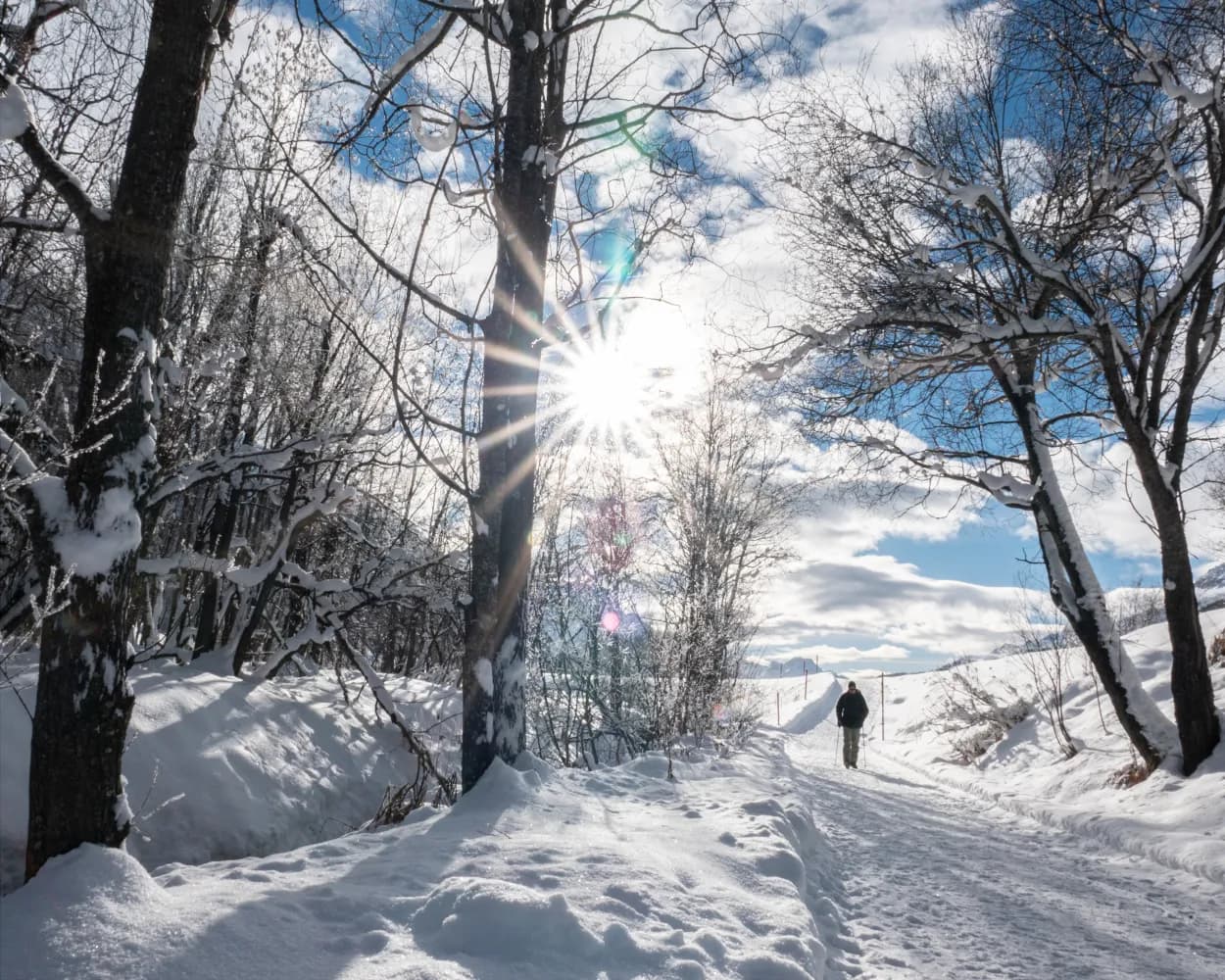 Escursioni invernali raggiungibili da Pontresina con i mezzi pubblici