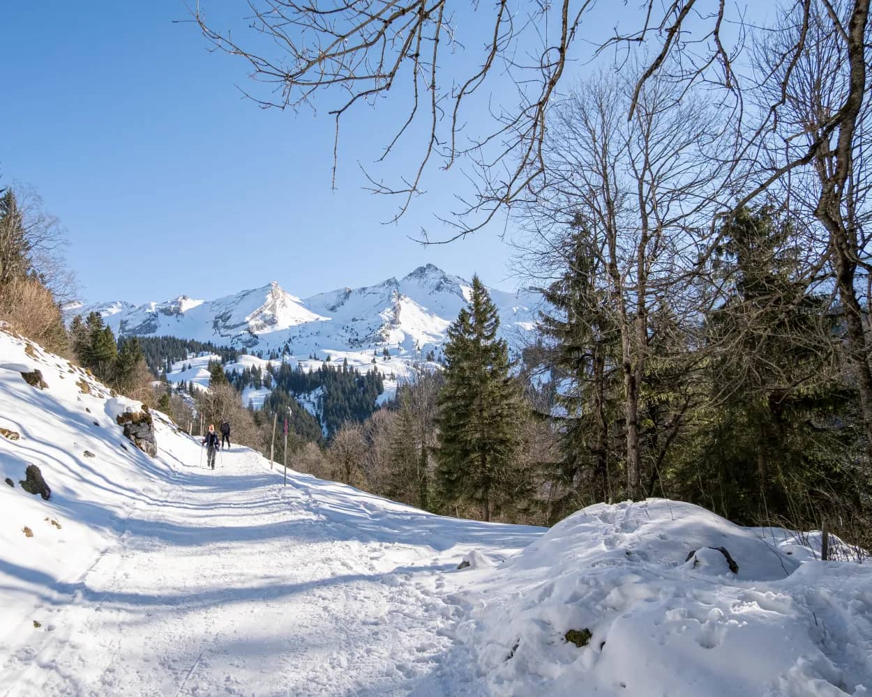 Schneeschuhtrail Maria-Rickenbach