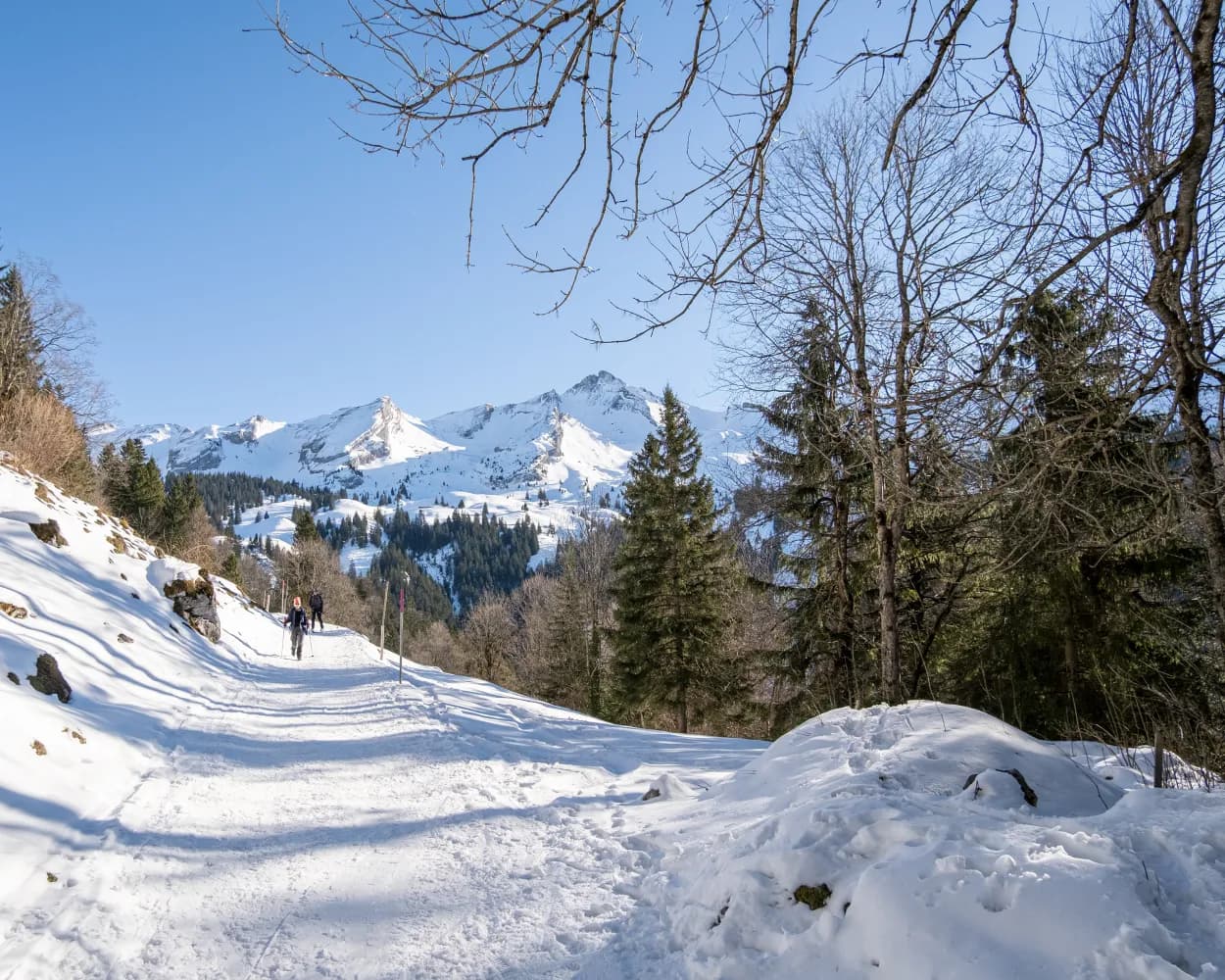 Schneeschuhtrail Maria-Rickenbach