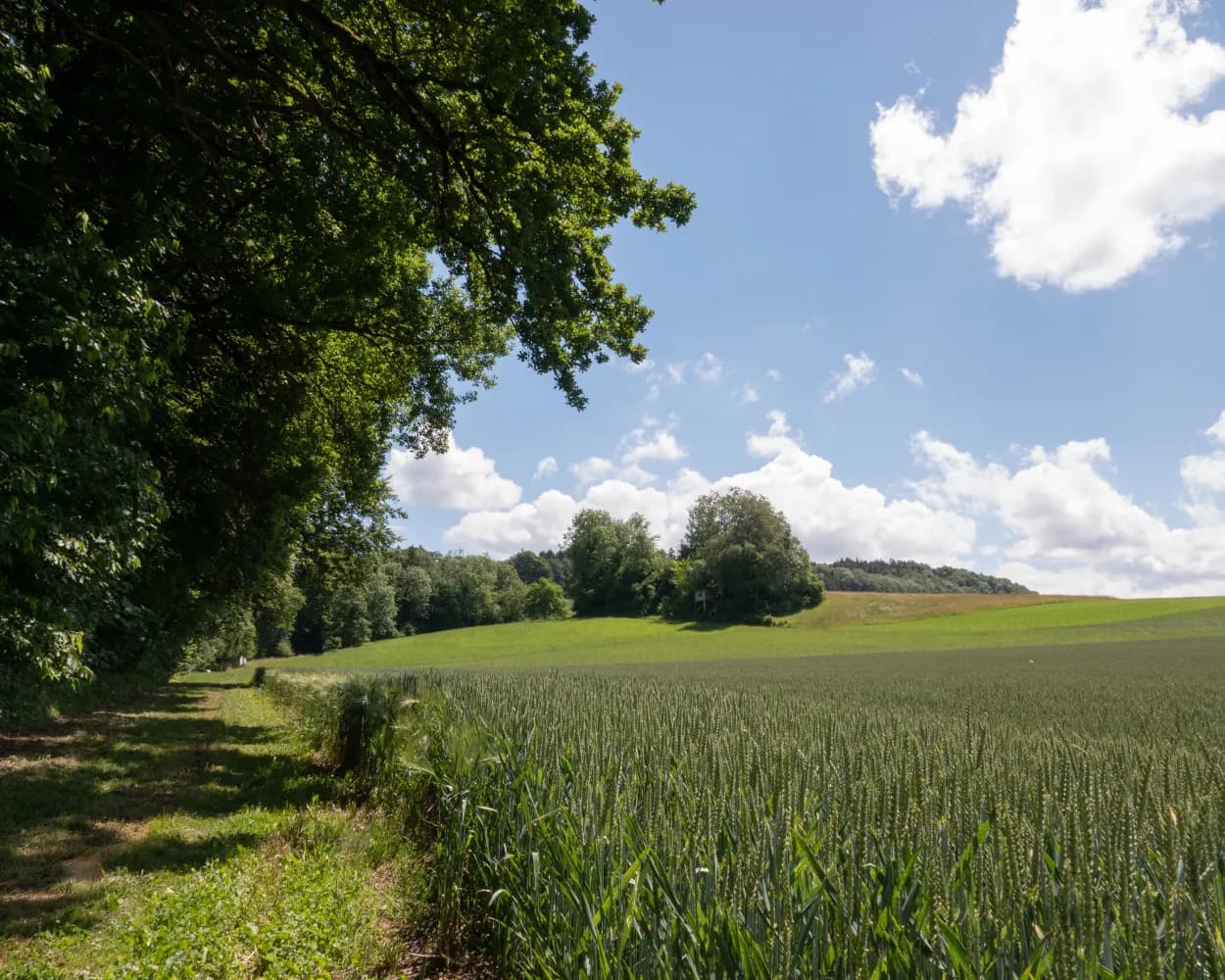 Tüfelschilen-Schauenberg Weg