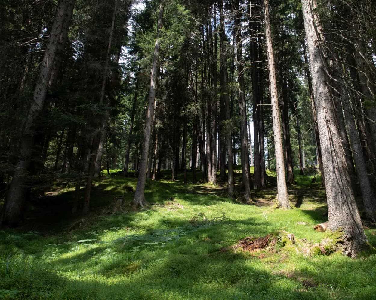 Walserweg, Stage 5/19
