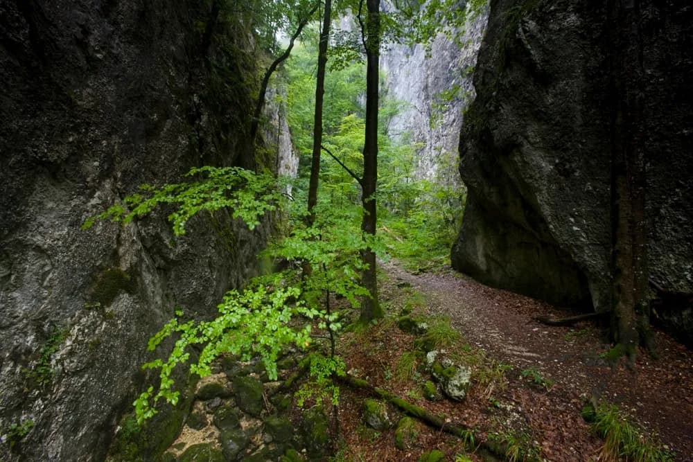 Weissenstein-Passwang-Weg, Étape 2/2