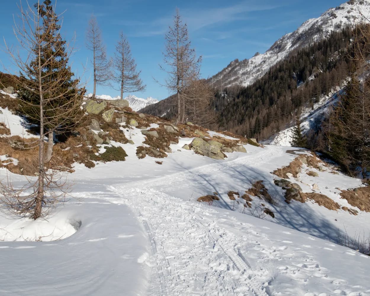 Percorso Cioss Prato