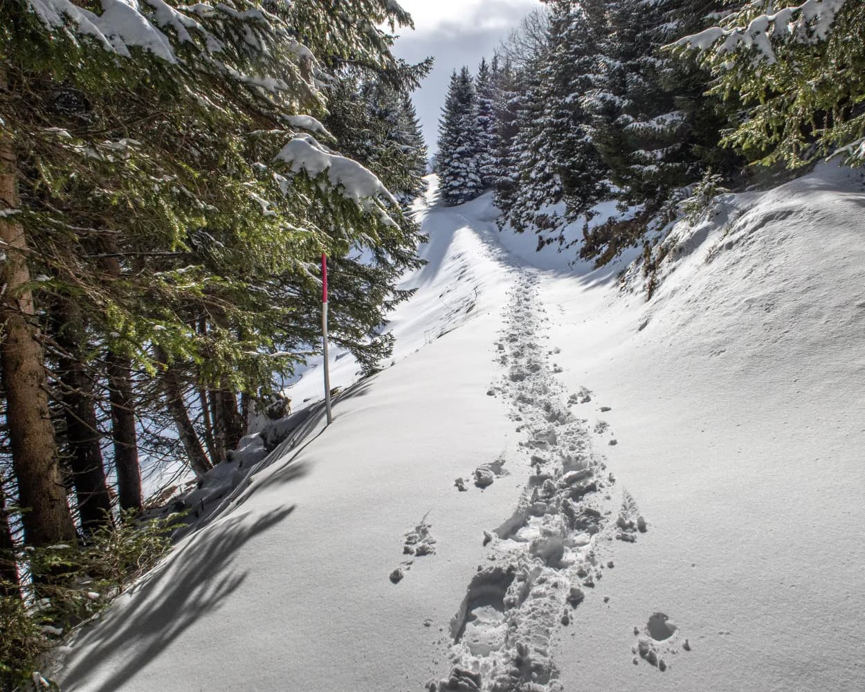 Schneeschuhtrail Panüöl–Prodalp