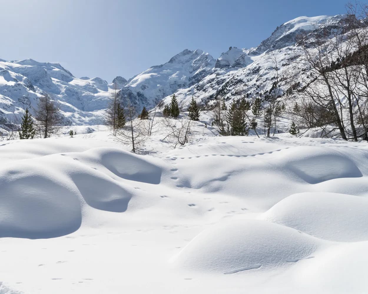 Morteratsch-Winterwanderweg