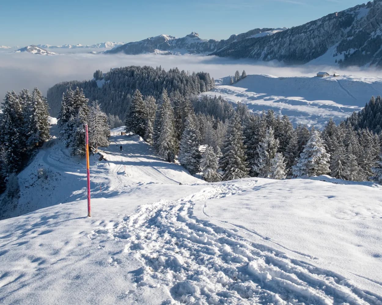 Kronberg-Winterwanderweg